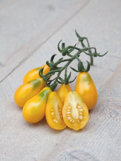 Tomate - Gelbe Birnenform - 0,5g