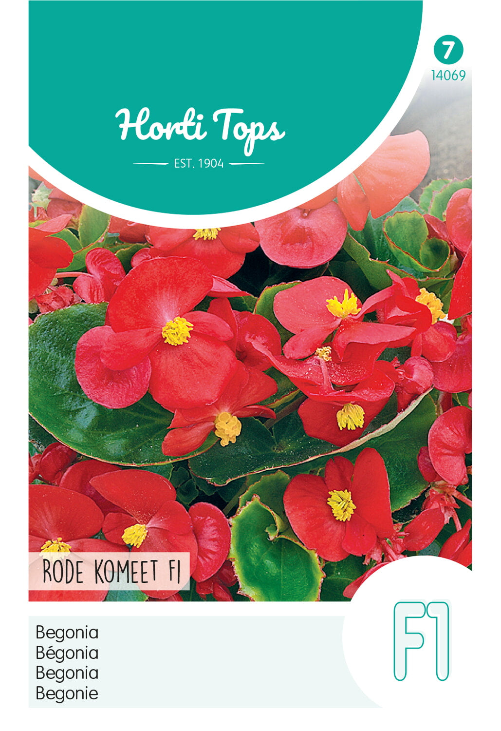 Begonia - Rode Komeet F1 - 700 Seeds