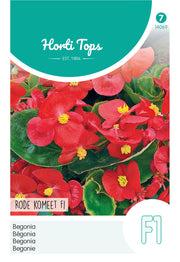 Begonia - Rode Komeet F1 - 700 Zaden