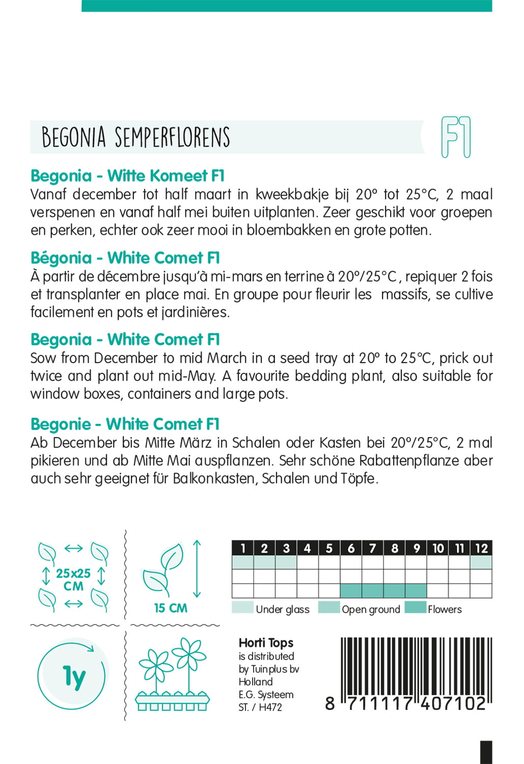 Begonia - Witte Komeet F1 - 700 Seeds