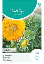 Suncokret - Sungold - 2g