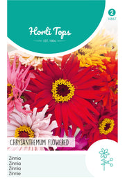 Zinnia - Fleur de Chrysanthème - 1,5g