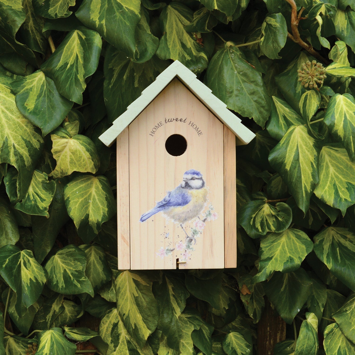 Nichoir pour Mésange bleue
