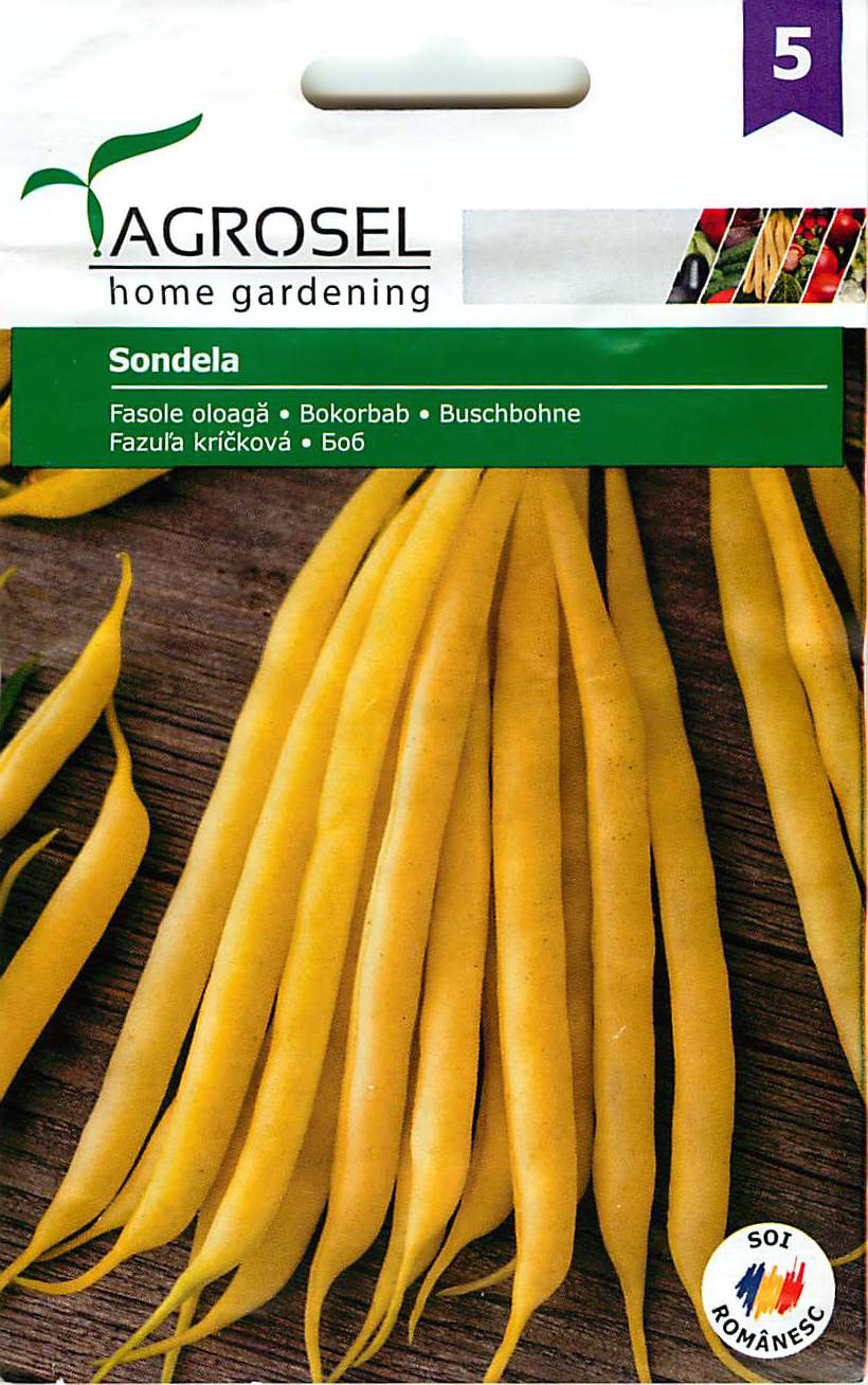 Bush Bean - Sondela - 30g