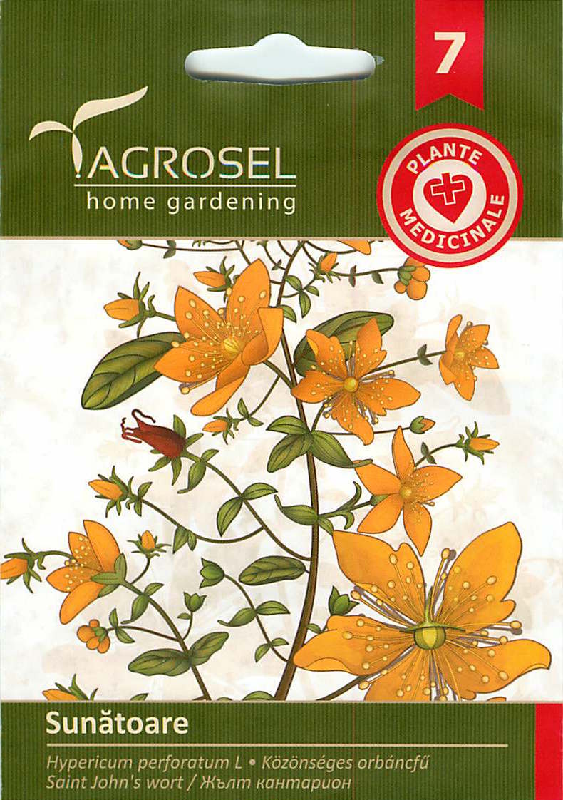 Saint John's Wort - 1,5g