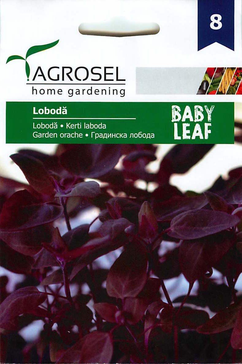 Kerti Laboda - Baby Leaf - Lobodā - 2g