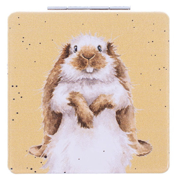 Mirror - Rabbit - Earisistible-2