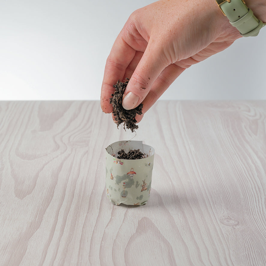 Paper Pot Press - Né pour être sauvage