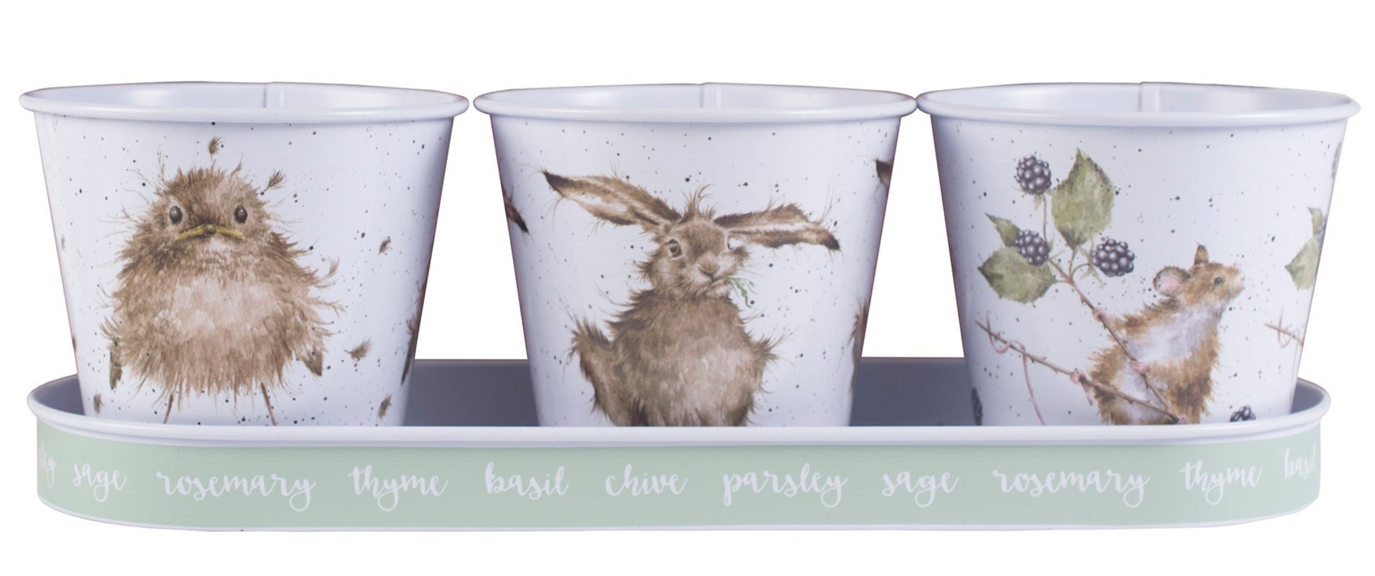 Set of 3 Herb Pots with Tray - Mouse-2