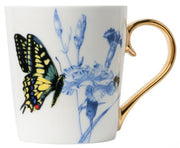 Mug Papillon de la Manteau d'Or